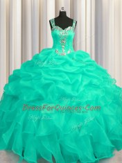 Sophisticated See Through Zipper Up Floor Length Turquoise Sweet 16 Dress Organza Sleeveless Appliques and Ruffles