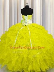 Modest Sleeveless Lace Up Floor Length Appliques and Ruffles 15 Quinceanera Dress