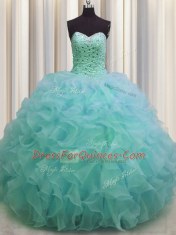 Adorable Organza Sleeveless Floor Length 15th Birthday Dress and Beading and Ruffles