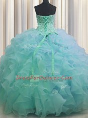 Adorable Organza Sleeveless Floor Length 15th Birthday Dress and Beading and Ruffles