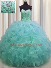 Adorable Organza Sleeveless Floor Length 15th Birthday Dress and Beading and Ruffles