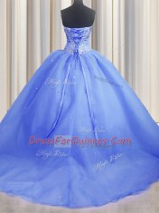 Nice Organza Sweetheart Sleeveless Brush Train Lace Up Beading and Appliques Quinceanera Dresses in Baby Blue