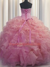 Beauteous Organza Sleeveless Floor Length Quinceanera Dress and Beading and Ruffles