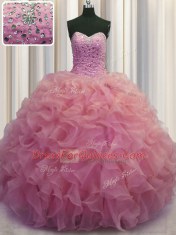 Beauteous Organza Sleeveless Floor Length Quinceanera Dress and Beading and Ruffles