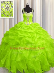 Beauteous See Through Zipper Up Floor Length Ball Gowns Sleeveless Ball Gown Prom Dress Zipper