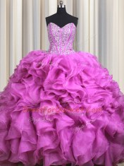Noble Visible Boning Organza Sleeveless With Train Sweet 16 Dress Brush Train and Beading and Ruffles