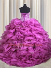 Noble Visible Boning Organza Sleeveless With Train Sweet 16 Dress Brush Train and Beading and Ruffles