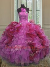 Organza Sleeveless Floor Length Sweet 16 Quinceanera Dress and Ruffles and Sequins