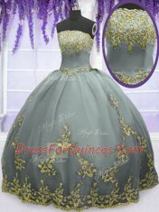 Grey Sleeveless Floor Length Appliques Zipper Quinceanera Gowns