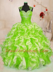 Multi-color Lace Up Sweetheart Beading and Ruffles Quinceanera Gown Organza Sleeveless