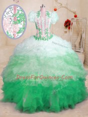 Luxurious Multi-color Sweetheart Neckline Beading and Appliques and Ruffles Quinceanera Dress Sleeveless Lace Up