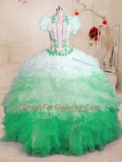 Luxurious Multi-color Sweetheart Neckline Beading and Appliques and Ruffles Quinceanera Dress Sleeveless Lace Up