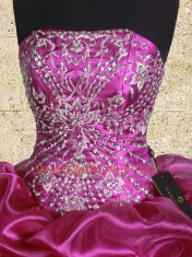 Pick Ups Floor Length Ball Gowns Sleeveless Fuchsia Quinceanera Gowns Lace Up