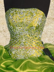 Exceptional Sleeveless Lace Up Floor Length Beading and Embroidery Ball Gown Prom Dress