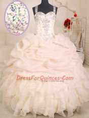 Dazzling Beading and Ruffles and Pick Ups 15 Quinceanera Dress Pink Zipper Sleeveless Floor Length