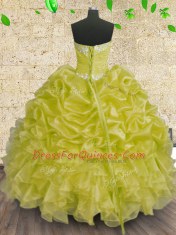 Sleeveless Lace Up Floor Length Beading and Appliques and Ruffles and Ruching Quinceanera Dresses