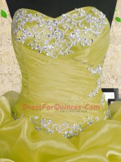 Sleeveless Lace Up Floor Length Beading and Appliques and Ruffles and Ruching Quinceanera Dresses