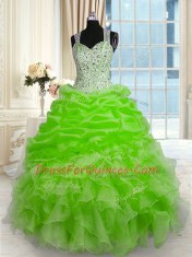 Floor Length Ball Gowns Sleeveless Quinceanera Gowns Zipper