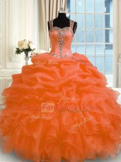 Organza Sleeveless Floor Length Quinceanera Gown and Appliques