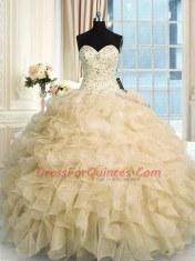 Sweetheart Sleeveless Organza 15th Birthday Dress Beading and Ruffles Lace Up