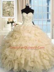 Sweetheart Sleeveless Organza 15th Birthday Dress Beading and Ruffles Lace Up