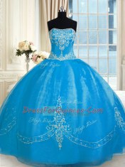 Sleeveless Floor Length Embroidery Lace Up Sweet 16 Quinceanera Dress with Baby Blue