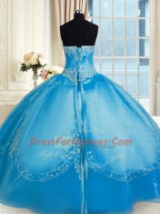 Sleeveless Floor Length Embroidery Lace Up Sweet 16 Quinceanera Dress with Baby Blue