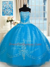 Sleeveless Floor Length Embroidery Lace Up Sweet 16 Quinceanera Dress with Baby Blue