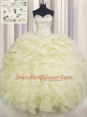 Wonderful Sweetheart Sleeveless Organza Quinceanera Gowns Beading and Ruffles Lace Up