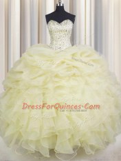 Wonderful Sweetheart Sleeveless Organza Quinceanera Gowns Beading and Ruffles Lace Up