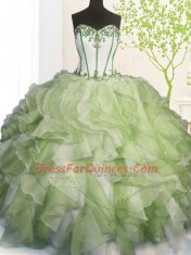 Sophisticated Ball Gowns 15 Quinceanera Dress Multi-color Sweetheart Organza Sleeveless Floor Length Lace Up