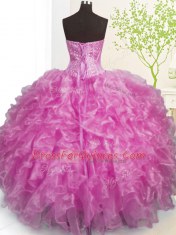 Fashionable Organza Sleeveless Floor Length 15 Quinceanera Dress and Beading and Ruffles and Pick Ups