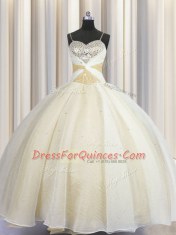 Organza Spaghetti Straps Sleeveless Lace Up Beading and Ruching Quinceanera Dresses in Champagne