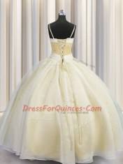 Organza Spaghetti Straps Sleeveless Lace Up Beading and Ruching Quinceanera Dresses in Champagne
