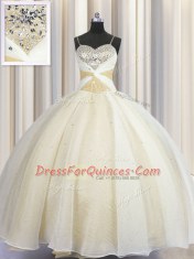 Organza Spaghetti Straps Sleeveless Lace Up Beading and Ruching Quinceanera Dresses in Champagne