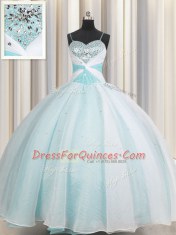 Ball Gowns Quinceanera Dress Aqua Blue Spaghetti Straps Organza Sleeveless Floor Length Lace Up