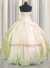 Exquisite Sleeveless Beading and Appliques Lace Up Quinceanera Gowns