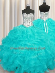 Organza Sleeveless Floor Length Quince Ball Gowns and Beading and Ruffles