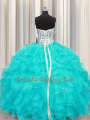 Organza Sleeveless Floor Length Quince Ball Gowns and Beading and Ruffles