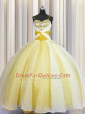Vintage Ball Gowns Quinceanera Gown Yellow Spaghetti Straps Organza Sleeveless Floor Length Lace Up