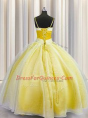 Vintage Ball Gowns Quinceanera Gown Yellow Spaghetti Straps Organza Sleeveless Floor Length Lace Up
