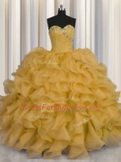 Sexy Organza Sleeveless Floor Length 15 Quinceanera Dress and Beading and Ruffles