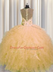 Stylish See Through Zipper Up Gold Sleeveless Tulle Zipper Vestidos de Quinceanera for Military Ball and Sweet 16 and Quinceanera