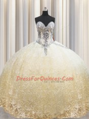 Best Selling Organza Sleeveless Floor Length 15 Quinceanera Dress and Beading and Appliques