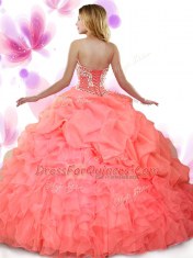 Organza Sleeveless Floor Length Quince Ball Gowns and Beading and Ruffles and Pick Ups