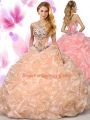 Sweetheart Sleeveless Organza 15th Birthday Dress Beading and Pick Ups Lace Up