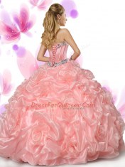 Sweetheart Sleeveless Organza 15th Birthday Dress Beading and Pick Ups Lace Up
