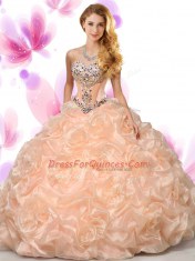 Sweetheart Sleeveless Organza 15th Birthday Dress Beading and Pick Ups Lace Up