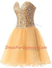 Sweetheart Sleeveless Lace Up Champagne Chiffon
