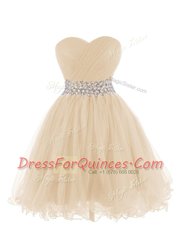 Nice Champagne Sleeveless Organza Lace Up Prom Party Dress for Prom and Party